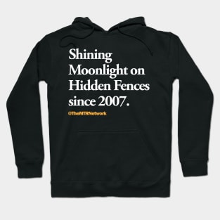 Hidden Fences Representation Matters Hoodie